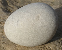 Limestone pebble