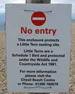 Tern sign