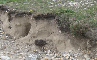 layer of sand