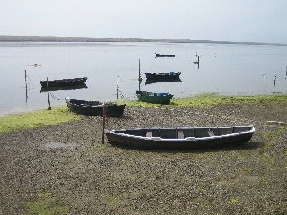 Boats