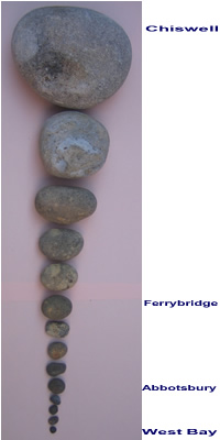 chesil beach pebble size