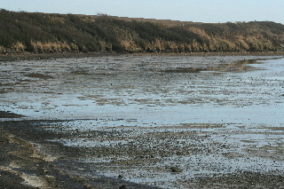 Mud flats