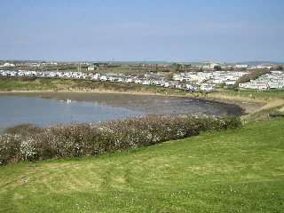 Lynch Cove