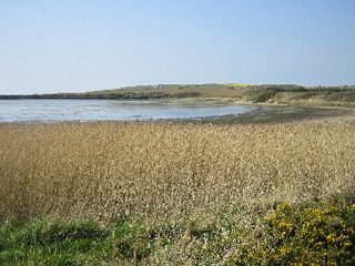 Tidmoor