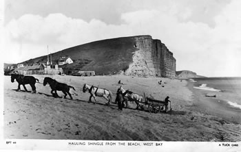 Pebble pickers